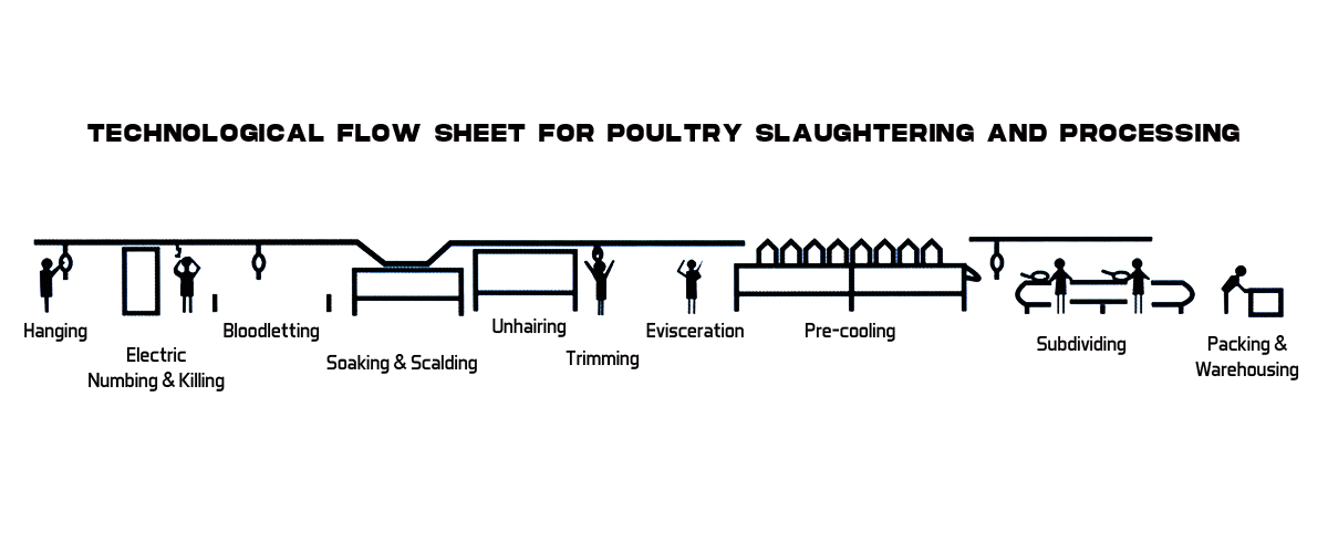 TECHNOLOGICAL FLOW SHEET FOR POULTRY SLAUGHTERING AND PROCESSING