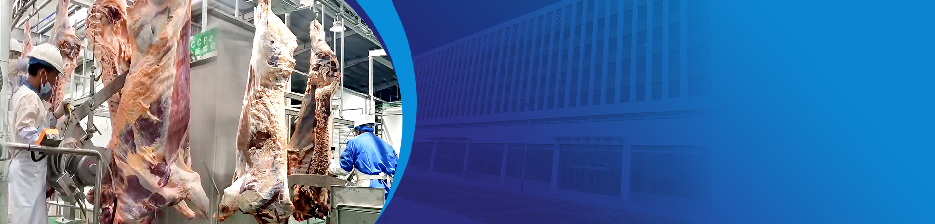 weixintupian_20251223084612_504_79