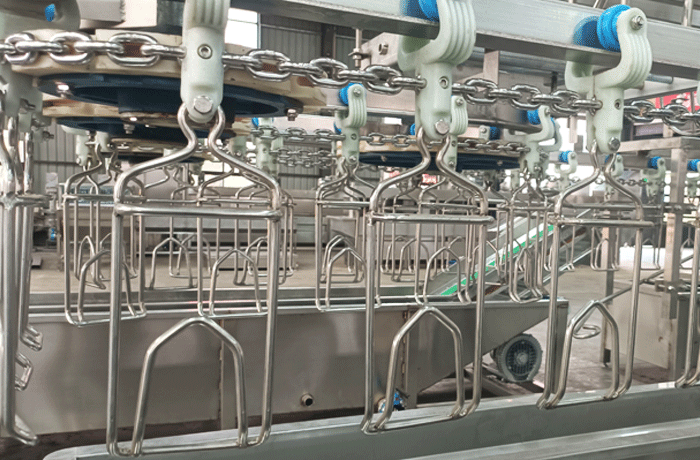 PoultryChicken Abattoir Equipment