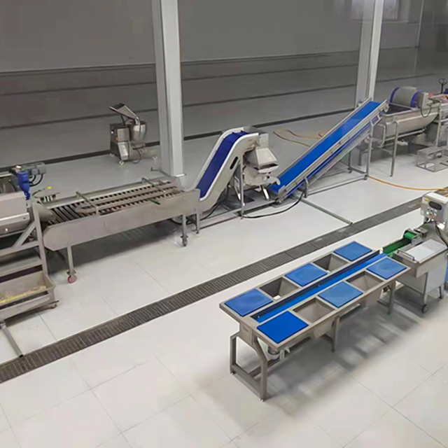 Vegetable Processing Line