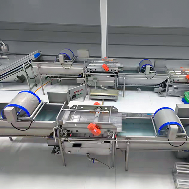 Vegetable Processing Line