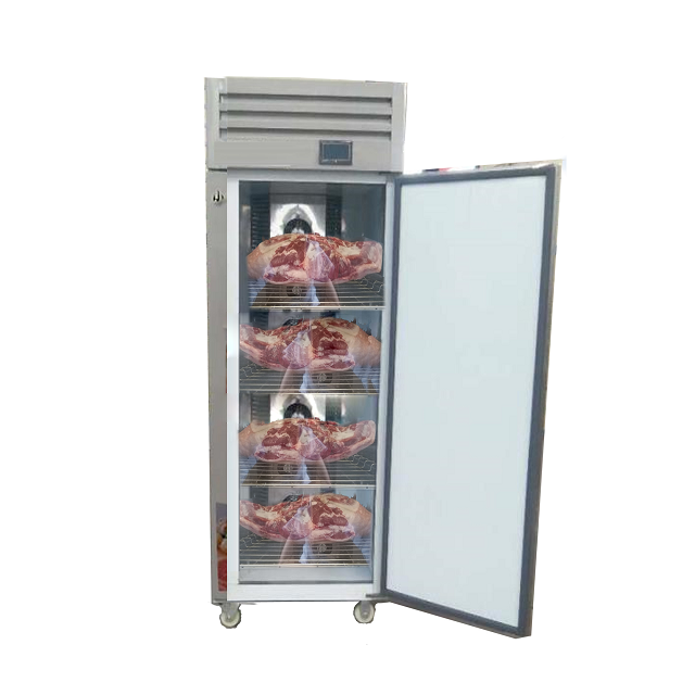 Meat Thawing Machine