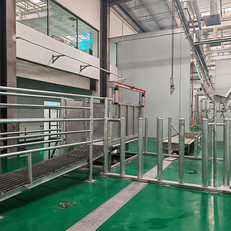 Heavy-duty Stainless Steel Cattle Restraint Stanchion | Professional Slaughterhouse Equipment