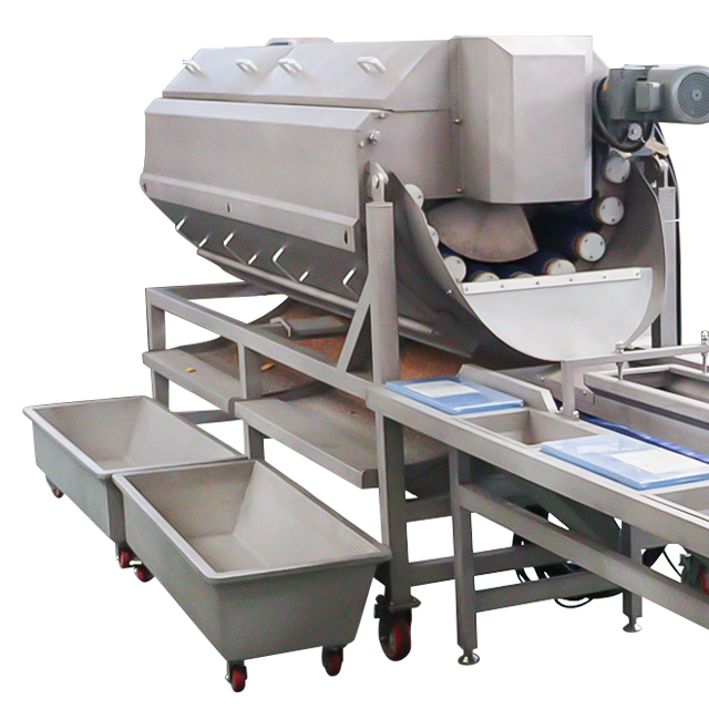 Vegetable Processing Line