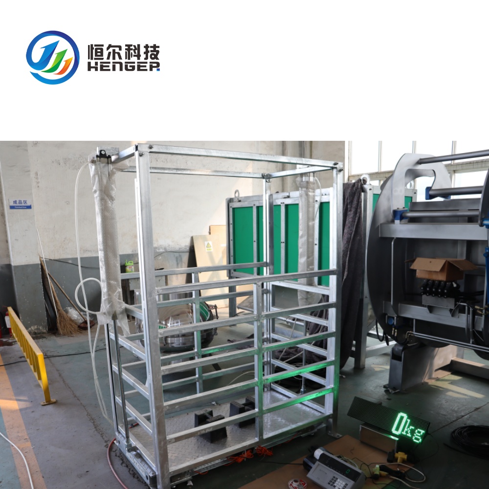 Swine Slaughtering Line 2026: Practical Automation for High-Yield Pig Processing | Henger technology