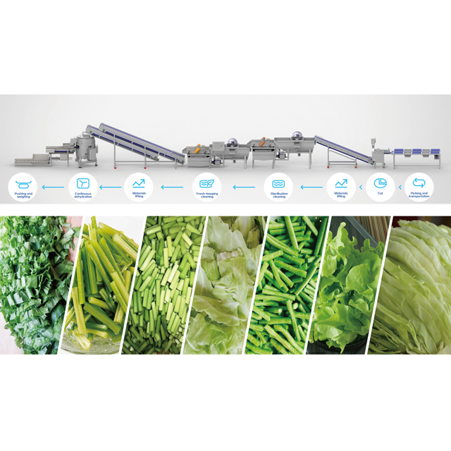 Vegetable Processing Line