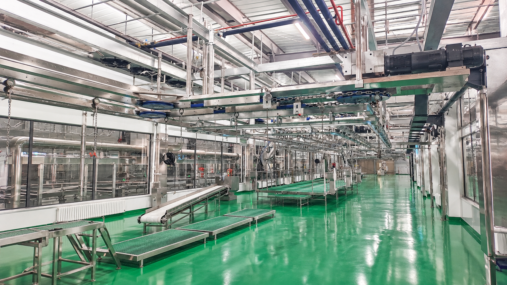 Commercial Automatic Cattle Slaughter Line and Abattoir Layout - SD Henger Group