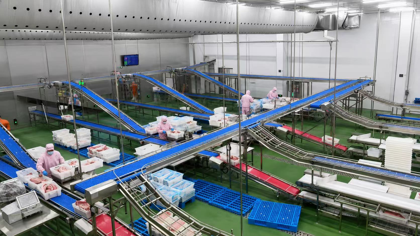 Food-Grade Meat Deboning & Cutting Conveyor Overall View